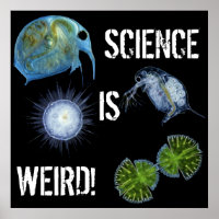 Science is Weird poster!