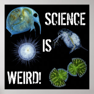 Pôster Science is Weird poster!