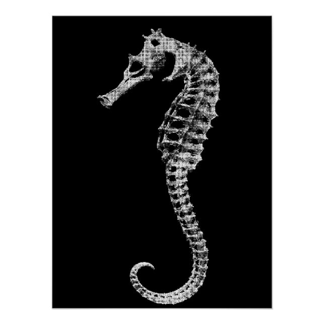 Pôster Scientific Seahorse Skeleton Poster (Frente)