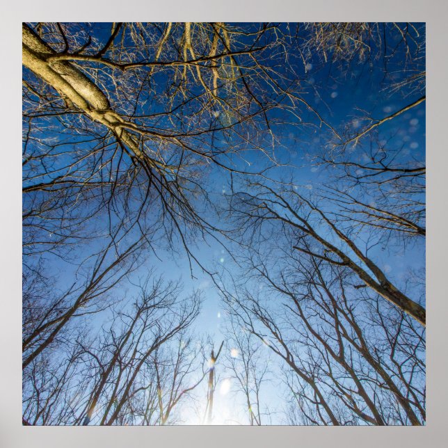 Poster Scioto Grove Metro Park, Grove City, Ohio (Frente)