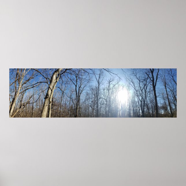 Poster Scioto Grove Metro Park, Grove City, Ohio (Frente)