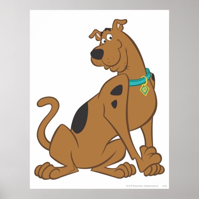Pôster Scooby-Doo Bashful Pose (Frente)
