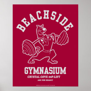 Poster Scooby-Doo "Beachside Gymnasium"