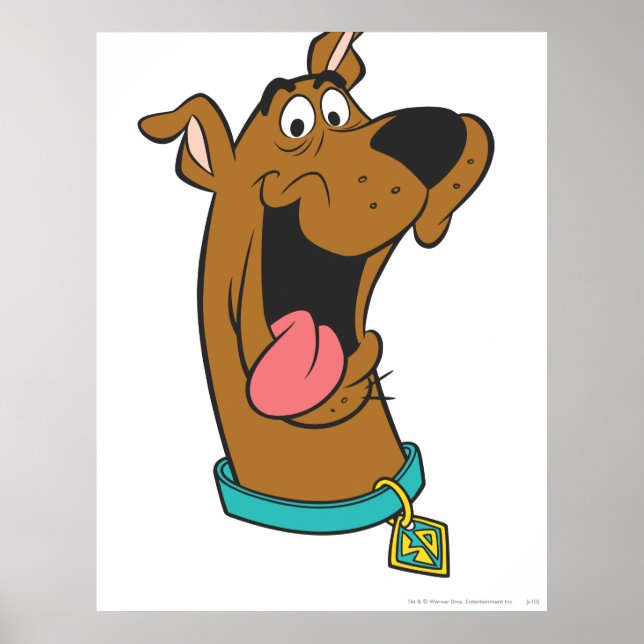 Pôster Scooby-Doo Tongue Out (Frente)