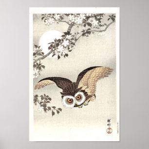 Poster Scop Owl, Cherry Blossoms e Lua