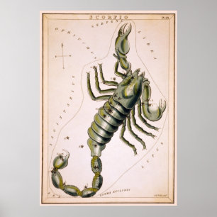 POSTER SCORPION SCORPIO CONSTELLATION 1825