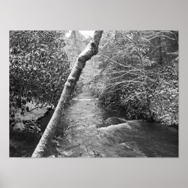 Poster Scott Creek (Frente)