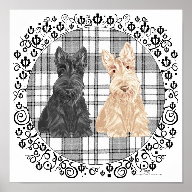 Poster Scotties Tartan (Frente)