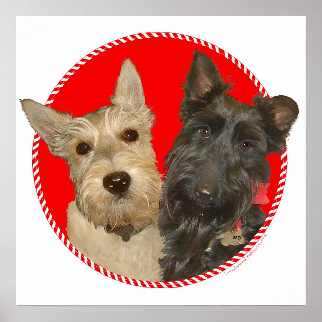 Pôster Scotties Trigo e Preto de Natal (Frente)