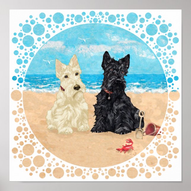 Pôster Scotties Trigo e Preto na Praia (Frente)