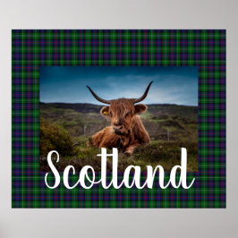 Poster Scottish Highland Steer