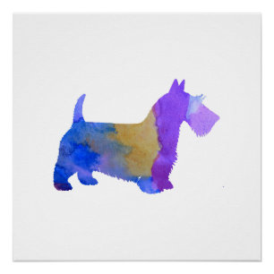 Pôster Scottish Terrier
