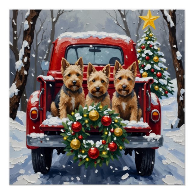 Pôster Scottish Terrier Christmas Red Truck Holiday (Frente)