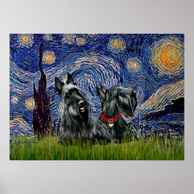 Pôster Scottish Terrier (dois negros) - Starry Night (Frente)