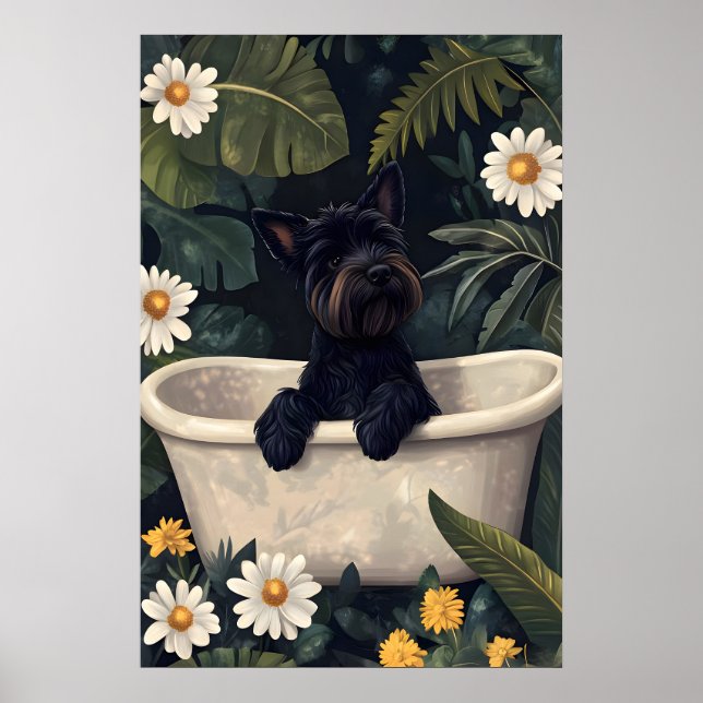 Poster Scottish Terrier In Bathtub Poster, Funny Dog (Frente)