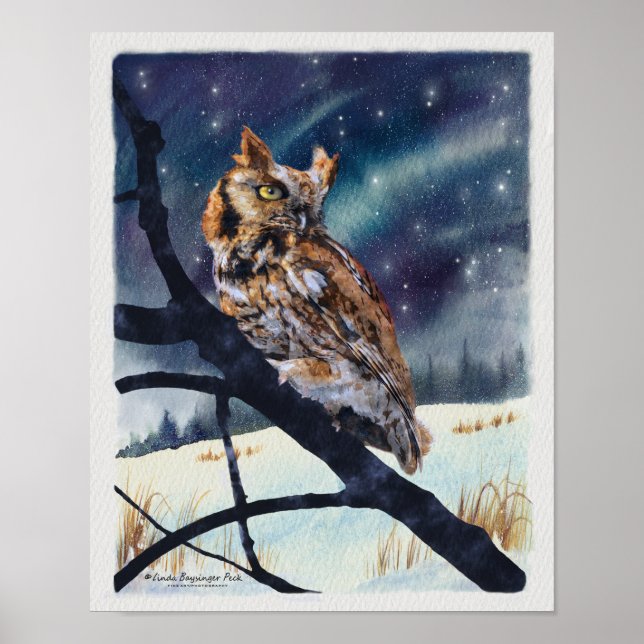 Poster Screech Owl Winter Night (Frente)