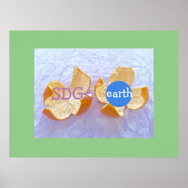POSTER SDG 地 球 環 境 自 然 体 (Frente)