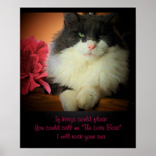 Poster Se os gatos poderiam flutuar
