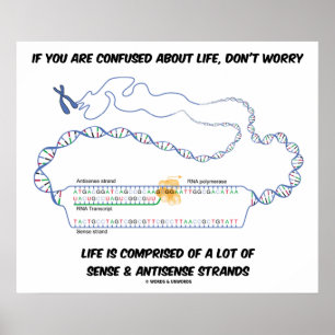Poster Se você está confuso com a vida, não se preocupe