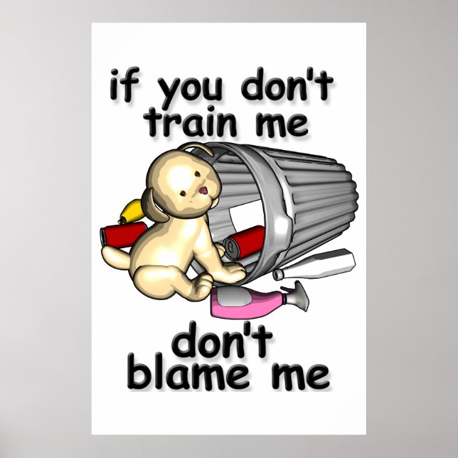 Pôster Se você não me treinar, não me culpe (Frente)