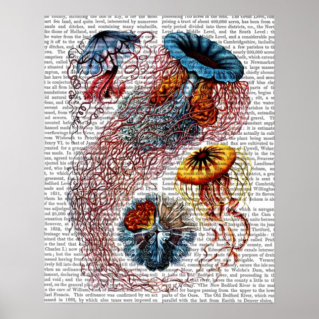Poster Sea Anemone (Frente)