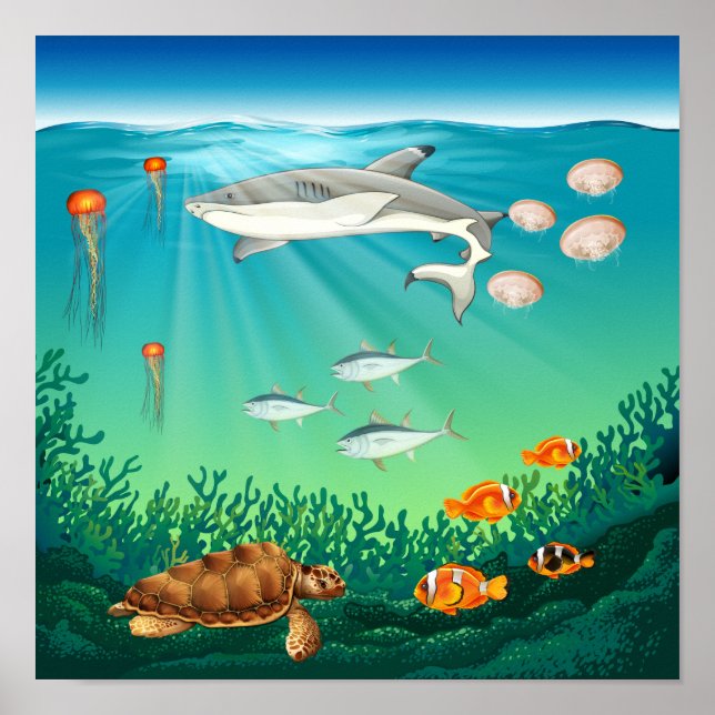 Poster Sea animals swimming under the sea (Frente)