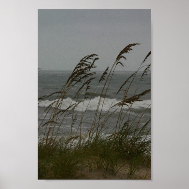 Pôster Sea Breeze (Frente)