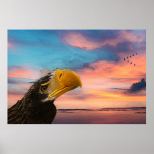 Poster Sea Eagle