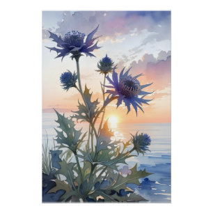 Pôster Sea Holly