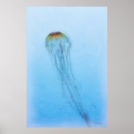 Poster Sea Nettle