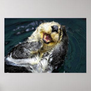 Pôster Sea Otter