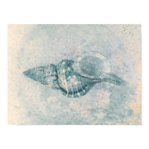 Sea Shell Teal Beige Vintage Ocean Textura de prai