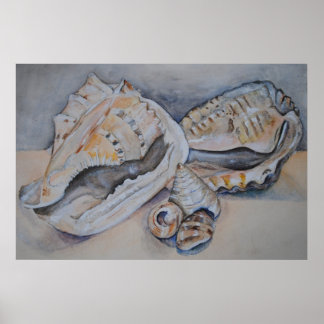 Poster Sea Shells Print
