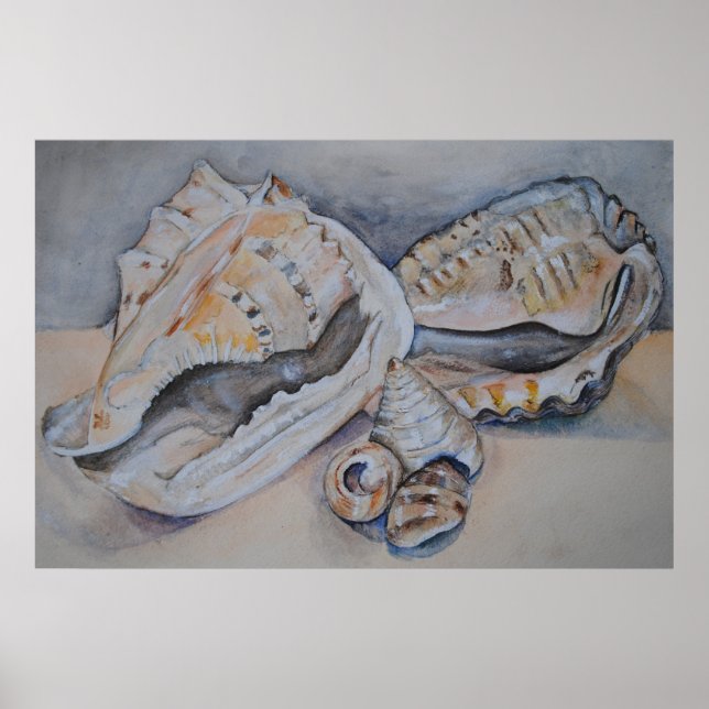 Poster Sea Shells Print (Frente)