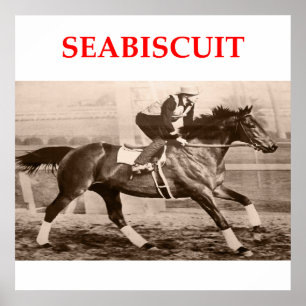 Pôster seabiscuit