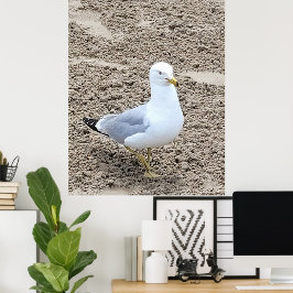 Poster Seagull