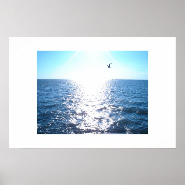 Poster Seagull (Frente)