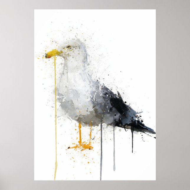 Poster Seagull Bird (Frente)