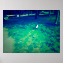 Seagull caminhando na grama Liquify Art Effect