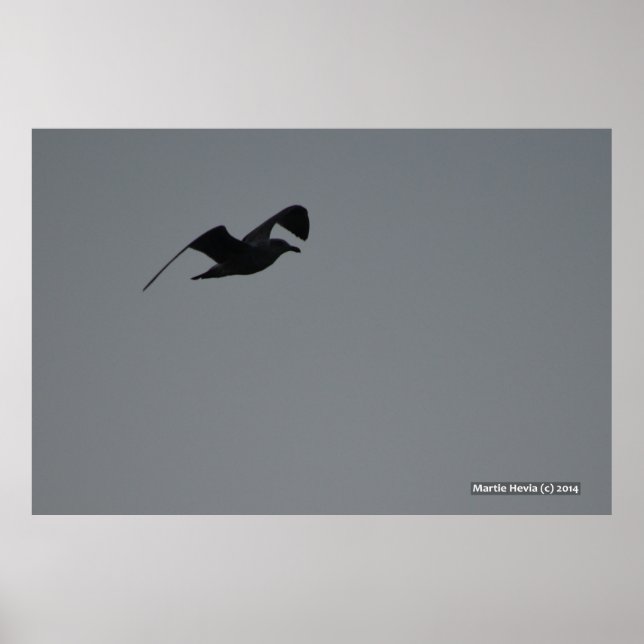 Poster Seagull em Silhouette (Frente)