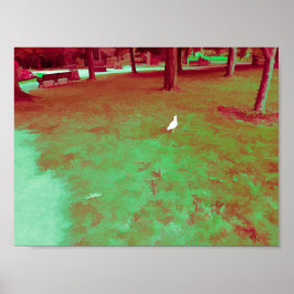 Poster Seagull Walking in Park Tourmaline Paint