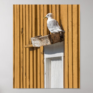 Poster Seagull Yellow House