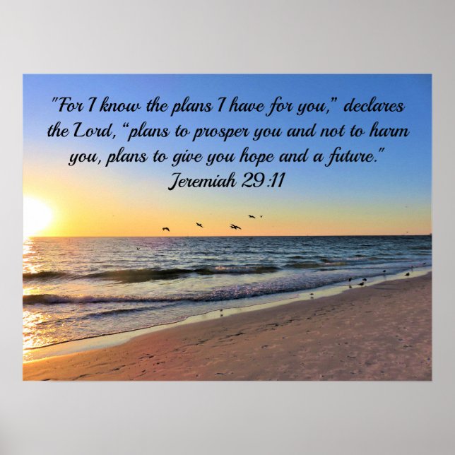 POSTER SEAGULLS AND SUNRISE JEREMIAH 29:11 BIBLE VERSE (Frente)