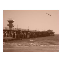 Seal Beach CA