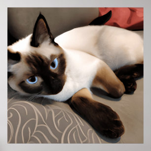 Poster Seal Point Retrato Digital Siamese
