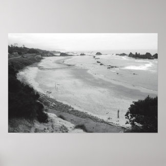 Pôster Seal Rock - Duotone