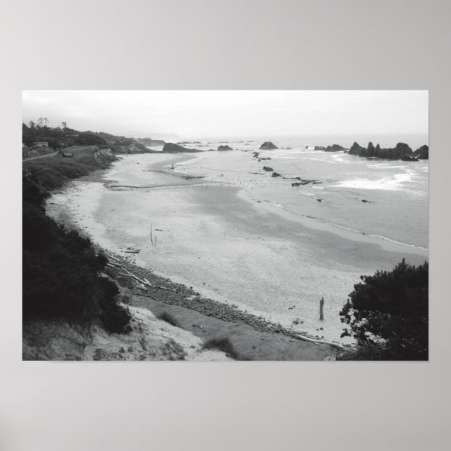 Pôster Seal Rock - Duotone (Frente)