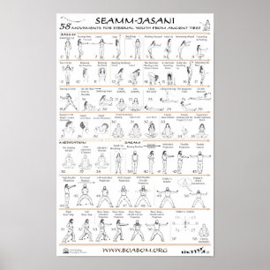 Pôster Seamm-Jasani: 58 movimentos para a juventude