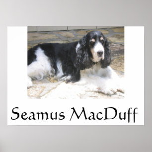Poster Seamus MacDuff