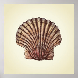Poster Seashell